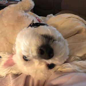 Meet your Posher, Kate